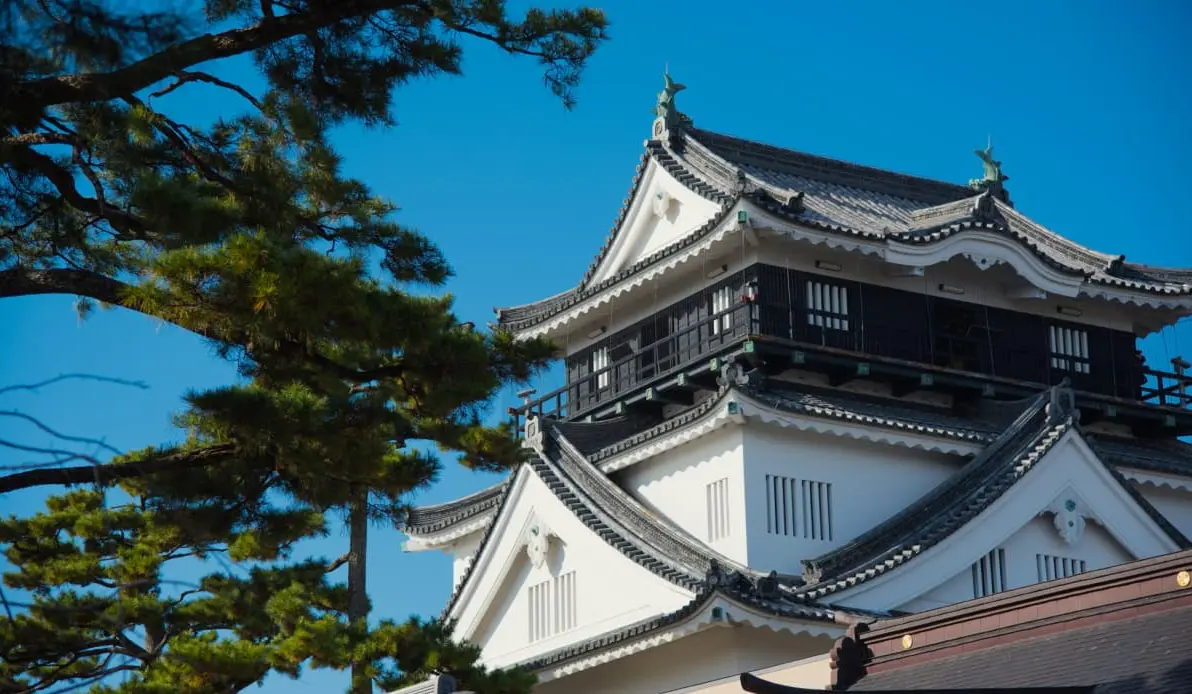 EDO Reference Guide banner