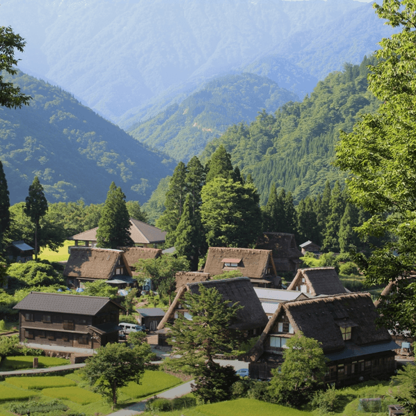A panoramic view of Ainokura Gassho-zukuri Village in Gokayama, showing traditional thatched-roof houses nestled in a green mountain valley in summer.