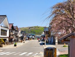 Inishie Kaido streetscape with cherry blossoms