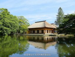 Traditional Japanese building with a thatched roof reflected on a pond, surrounded by lush green trees.