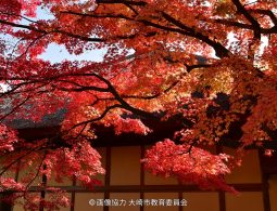 Close-up of deep red and orange autumn maple leaves over the thatched roof of a traditional building.