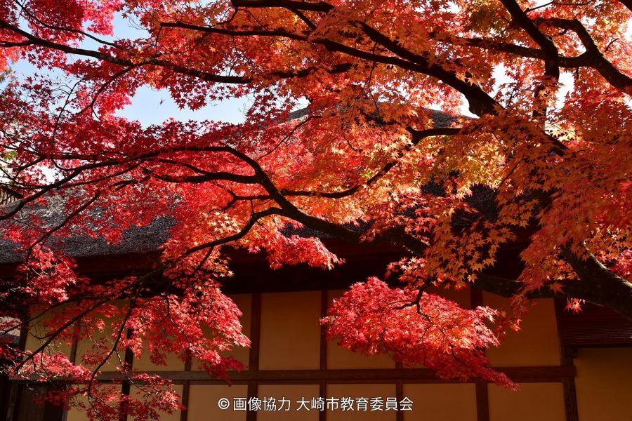 Close-up of deep red and orange autumn maple leaves over the thatched roof of a traditional building.