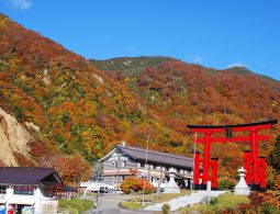 A large red torii gate and a rest house at the foot of a mountain, covered in brilliant red and orange autumn foliage.