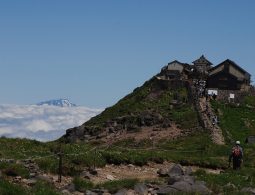 A shrine complex on a mountain summit above the clouds, with a winding stone path leading up to the buildings. (Likely Mt. Gassan Shrine or the Sanjin Gosaiden approach on Mt. Haguro).