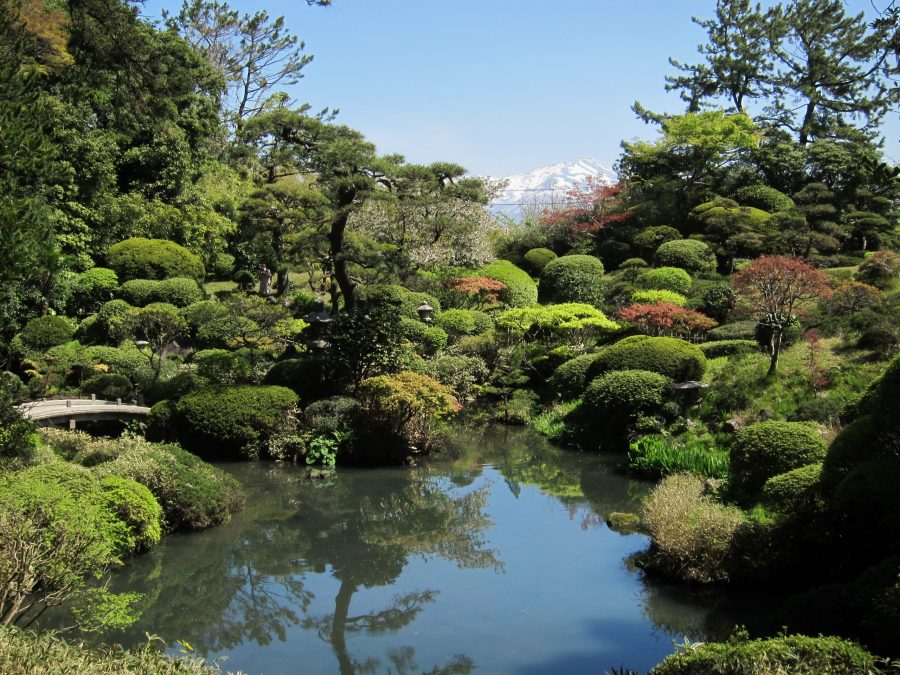 surrounded by a lush Japanese garden.