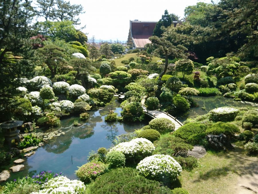 A wide view of the Homma Garden (Kakubu-en) pond, featuring a small stone bridge and white flowering shrubs.