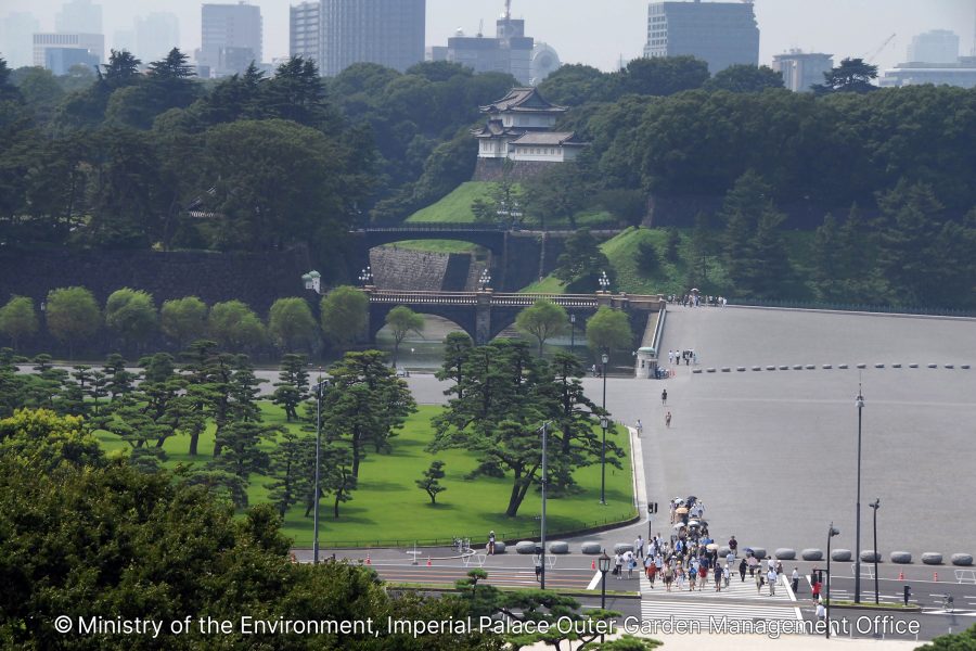 An aerial-style view of the Imperial Palace Outer Garden, showing the wide plaza, manicured pine trees, and the Fushimi-yagura Watchtower over Nijubashi bridge, with Tokyo skyscrapers in the distance.