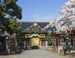 The main hall of Ueno Tōshō-gū Shrine