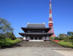The Hondo (Main Hall) of Zojo-ji Temple, featuring traditional architecture, set against a bright blue sky with the modern Tokyo Tower rising dramatically in the background.