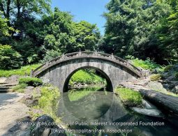 The Engetsukyō (Full Moon Bridge), a traditional stone arch bridge crossing a small, calm stream in a lush, tree-filled landscape.