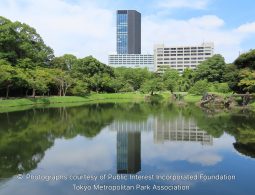 A serene pond reflecting the blue sky, green trees, and the reflection of a tall, modern office building in the background of the garden.