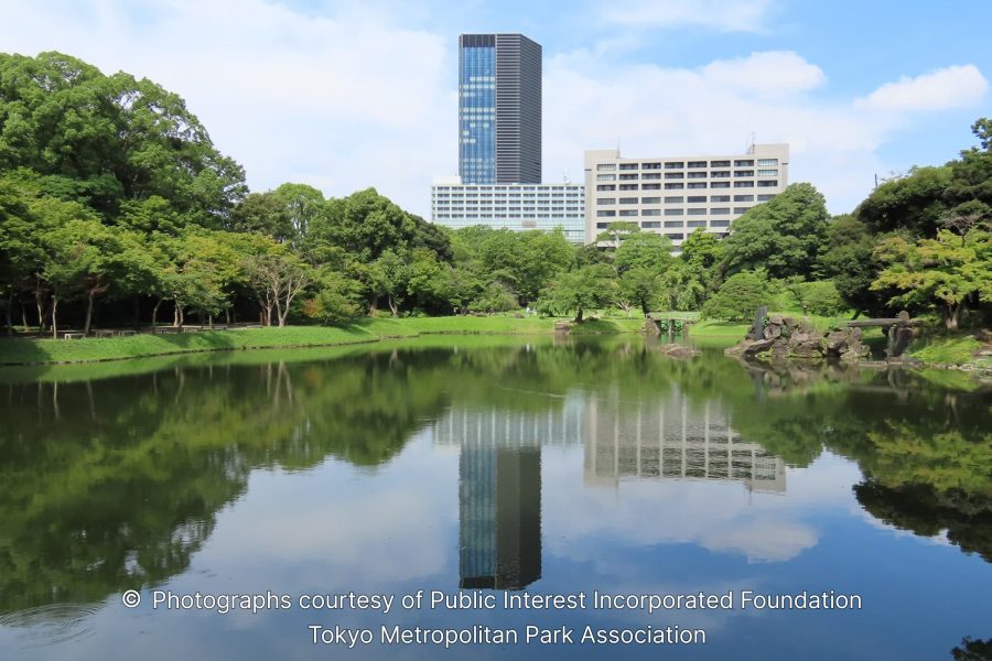 A serene pond reflecting the blue sky, green trees, and the reflection of a tall, modern office building in the background of the garden.