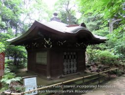 A small, traditional Japanese wooden shrine or structure with a curved roof, surrounded by dense green forest and mossy ground in the garden.