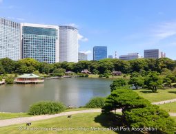 Panoramic view of a large pond and green lawn in Hama-rikyu Gardens, with the Nakajima-no-ochaya teahouse on the water and a backdrop of tall, modern skyscrapers.