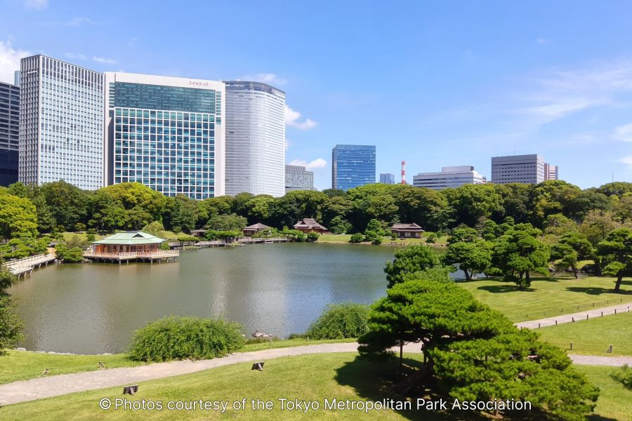 Panoramic view of a large pond and green lawn in Hama-rikyu Gardens, with the Nakajima-no-ochaya teahouse on the water and a backdrop of tall, modern skyscrapers.