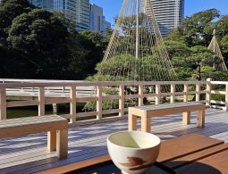 Traditional matcha tea and wagashi (Japanese sweet) served on a wooden deck overlooking a garden pond, with pine trees protected by yukitsuri ropes and modern Tokyo skyscrapers in the background.