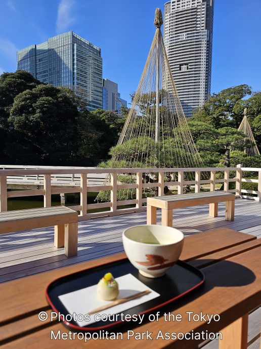 Traditional matcha tea and wagashi (Japanese sweet) served on a wooden deck overlooking a garden pond, with pine trees protected by yukitsuri ropes and modern Tokyo skyscrapers in the background.