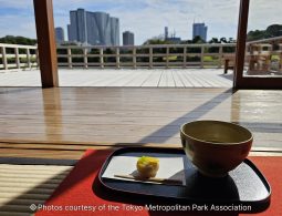 Close-up of matcha tea and a small wagashi sweet served on a black tray on a tatami mat floor inside a teahouse, with the modern city skyline visible through the open doorway.