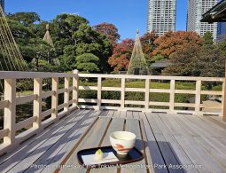 Matcha tea and wagashi served on a light wooden table on a deck, with a wooden fence railing separating the foreground from the garden and the high-rise buildings in the distance.