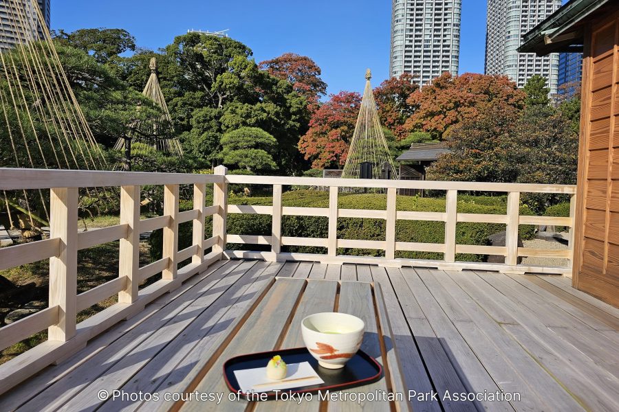 Matcha tea and wagashi served on a light wooden table on a deck, with a wooden fence railing separating the foreground from the garden and the high-rise buildings in the distance.
