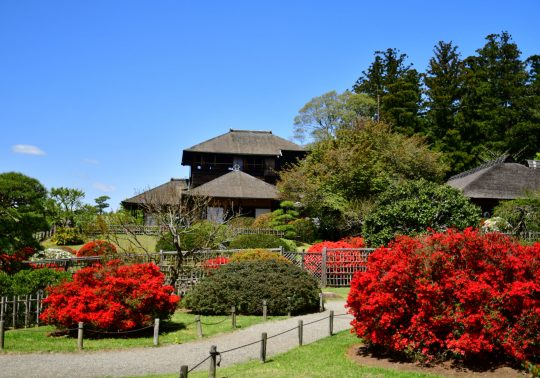 The traditional Kobuntei building seen from the garden, surrounded by vibrant red azalea bushes and green trees.