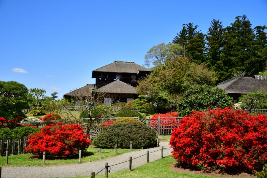 The traditional Kobuntei building seen from the garden, surrounded by vibrant red azalea bushes and green trees.