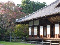 A close-up view of the Kodokan building's dark wood veranda and tiled roof, with pink flowers and foliage in the background.