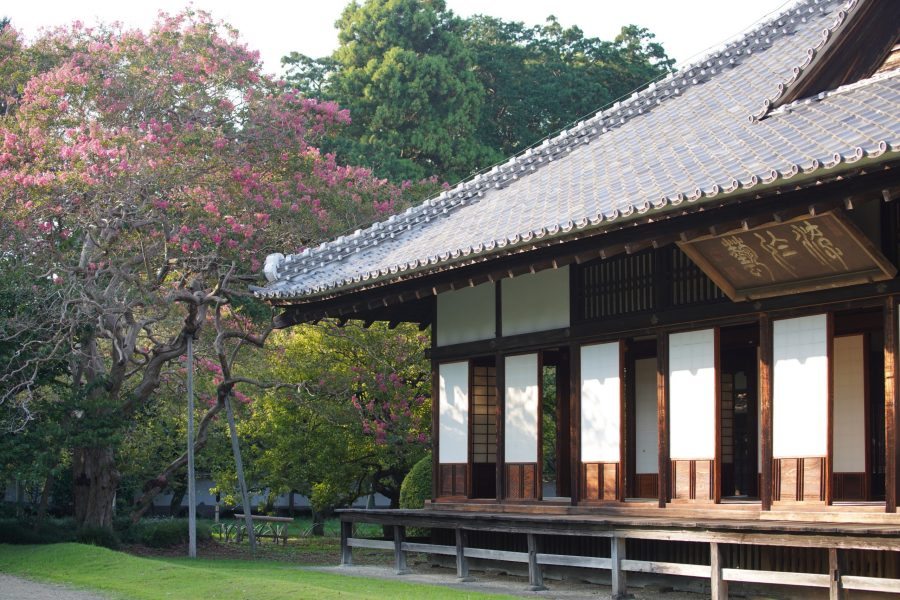 A close-up view of the Kodokan building's dark wood veranda and tiled roof, with pink flowers and foliage in the background.