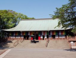 The main hall of Kita-in Temple with its large, gently curved roof and stone staircase.