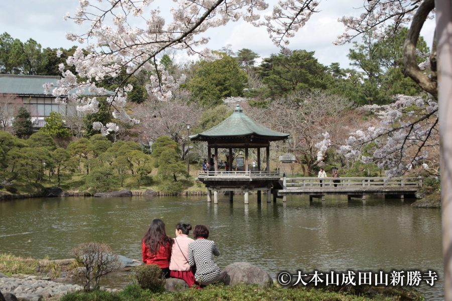 A traditional hexagonal pavilion over a pond in Naritasan Park, surrounded by cherry blossoms in bloom.