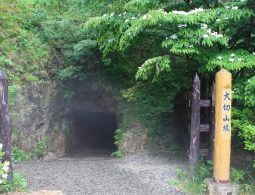 The dark, overgrown entrance to the Otokiri Kō mining tunnel at Sado Gold Mine, marked by a wooden signpost under leafy trees.