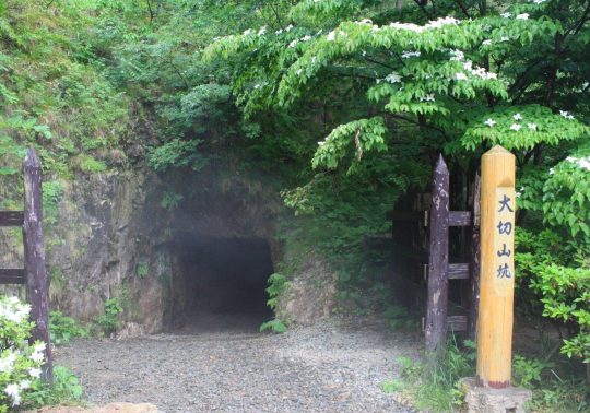 The dark, overgrown entrance to the Otokiri Kō mining tunnel at Sado Gold Mine, marked by a wooden signpost under leafy trees.