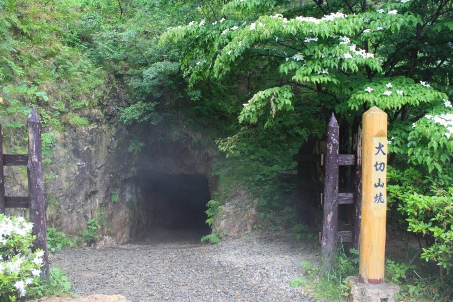 The dark, overgrown entrance to the Otokiri Kō mining tunnel at Sado Gold Mine, marked by a wooden signpost under leafy trees.
