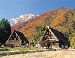 Two prominent Gassho-zukuri houses with thatched roofs, set against a mountain slope showing red autumn leaves and a snow-capped peak.