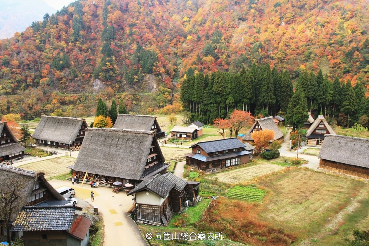 View from above of the Gokayama Village and Gassho-zukuri houses surrounded by mountains that are covered in red and orange autumn foliage.