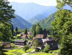 High-angle view of Gokayama Village, with Gassho-zukuri houses and bright green rice fields, surrounded by dense, misty mountains.