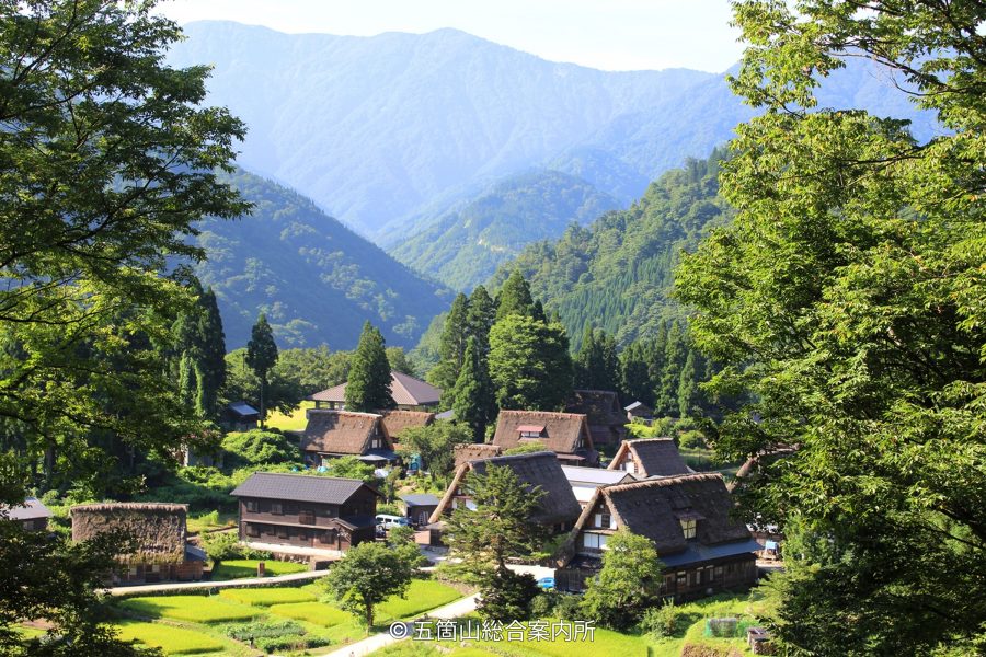 High-angle view of Gokayama Village, with Gassho-zukuri houses and bright green rice fields, surrounded by dense, misty mountains.