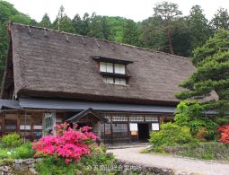 A large Gassho-zukuri house with a thick thatched roof, surrounded by bright pink and orange azaleas in the spring garden.