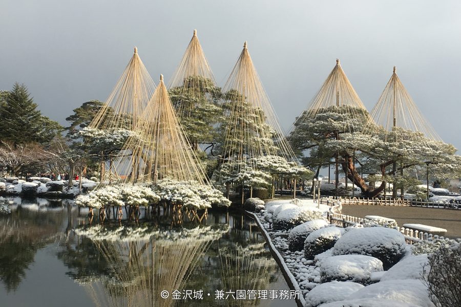 The snow-covered landscape of Kenroku-en Garden, featuring trees protected by yukitsuri (rope supports) reflected in a pond.