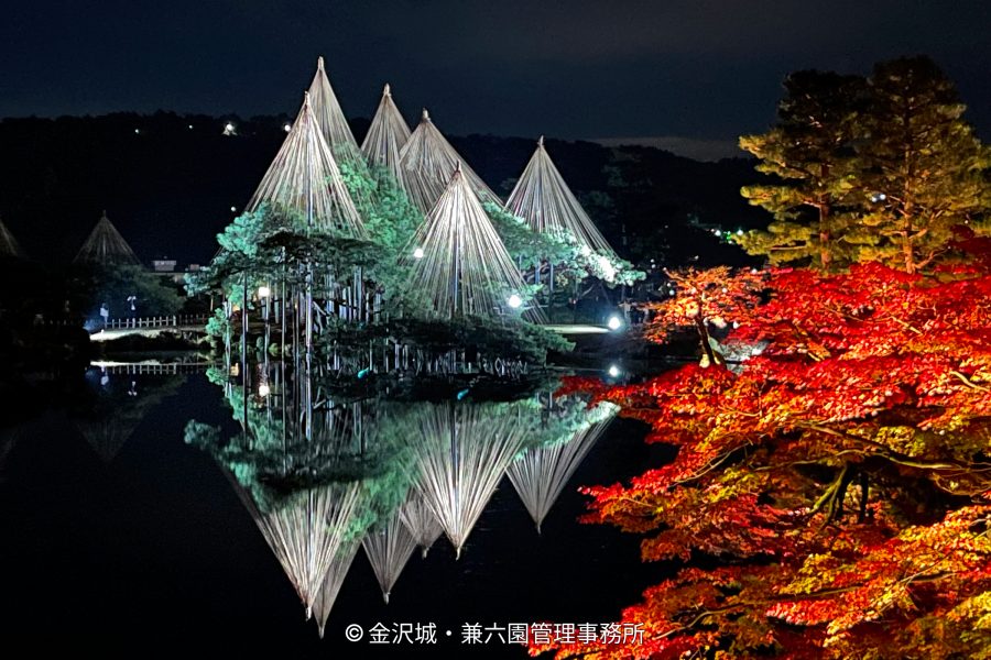 Illuminated trees with yukitsuri reflected in a pond at night, with red autumn leaves in the foreground.