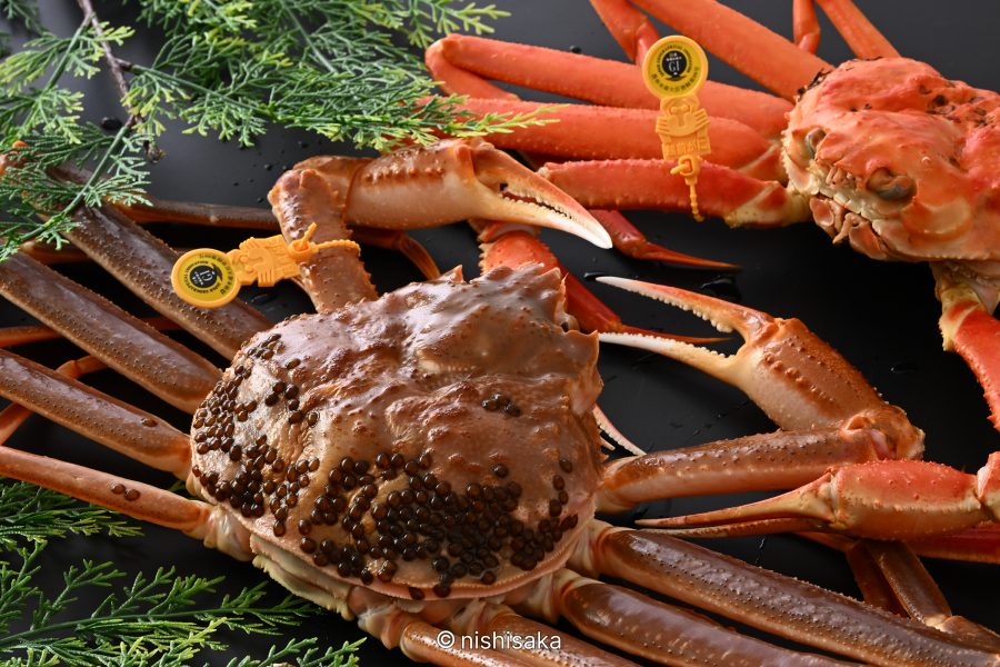 A woman in a kimono playing the shamisen (three-stringed instrument) in a traditional tatami room.
