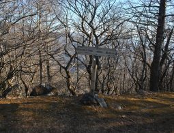 Wooden signpost for scenic spots on a mountain pass, surrounded by bare trees in late autumn or winter.