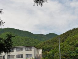 View of a modern building in the green valley, surrounded by dense trees under a bright sky, suggesting spring or summer.