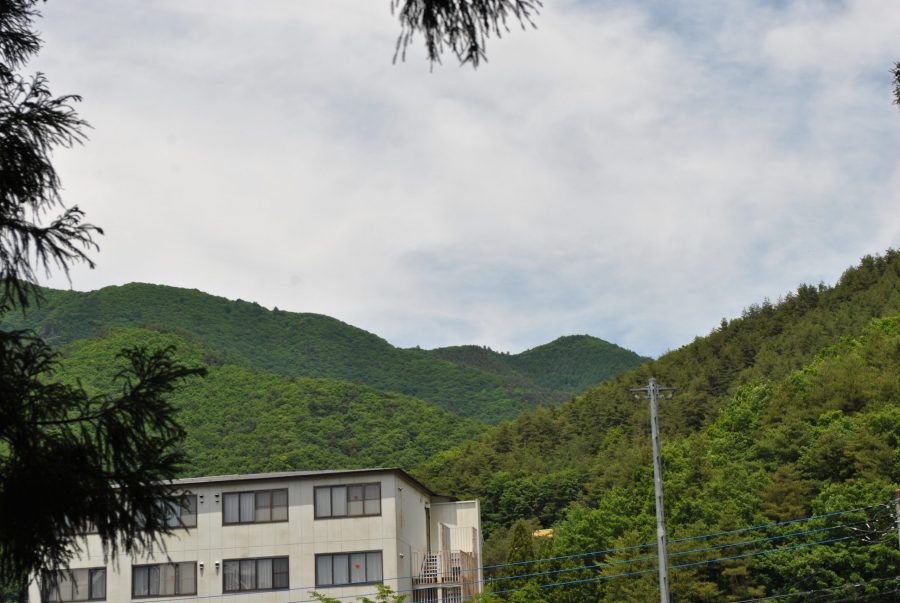 View of a modern building in the green valley, surrounded by dense trees under a bright sky, suggesting spring or summer.