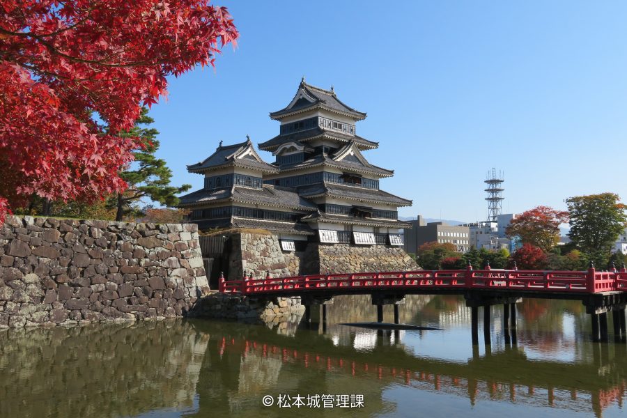 Matsumoto Castle viewed across the moat with a red bridge, framed by vibrant red autumn maple leaves on the left.
