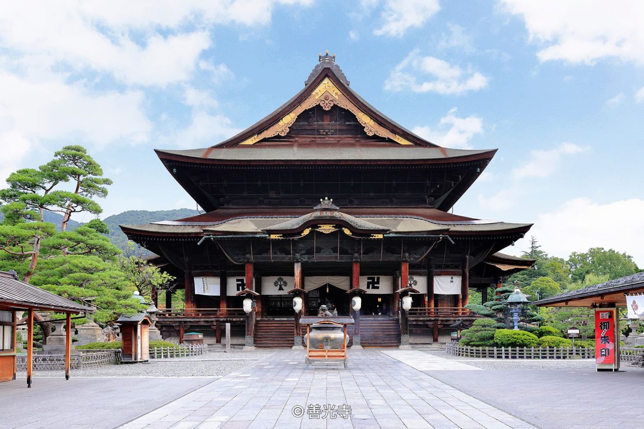 A wide view of Zenko-ji's main hall (Hondo), a large, dark wooden building with a sweeping tiled roof, set against a blue sky with white clouds, with manicured pine trees in the courtyard.