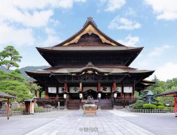 A wide view of Zenko-ji's main hall (Hondo), a large, dark wooden building with a sweeping tiled roof, set against a blue sky with white clouds, with manicured pine trees in the courtyard.