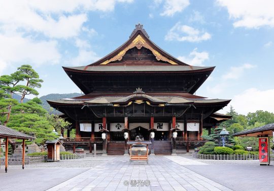 A wide view of Zenko-ji's main hall (Hondo), a large, dark wooden building with a sweeping tiled roof, set against a blue sky with white clouds, with manicured pine trees in the courtyard.