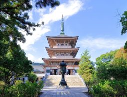 The three-tiered, light brown pagoda of Zenko-ji, viewed from the courtyard path framed by lush green trees against a bright blue sky.