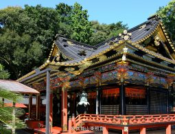 Close-up of the highly ornate, black, red, and gold Gongen-style architecture of a Kunozan Tōshō-gū hall on a sunny day.